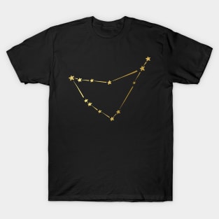 Astrology Constellation Zodiac Star Sign Capricorn T-Shirt